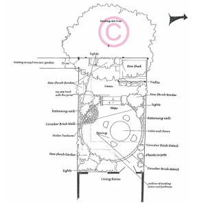 Contemporary garden design