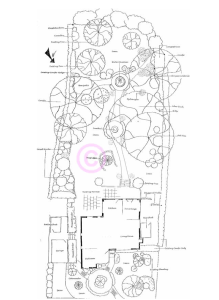 Accessible Woodland Garden Design